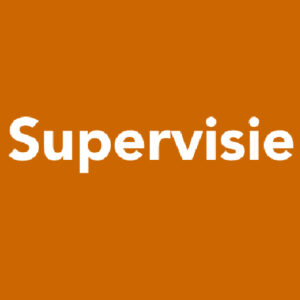 Supervisie bij Hende Bauer