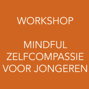 [MF-Workshop] MSC voor jongeren, 27 mei 2017