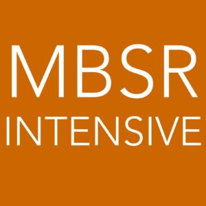 8200 [MF-1 Intensive] 18-24 november 2024 - pr